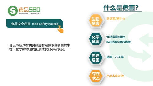 餐饮业食品安全管理体系 企业管理的核心引擎